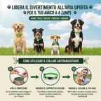 Collare Antiparassitario Biologico per Cani — 8 Mesi di Protezione Naturale