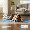 Beagle sul tappetino rinfrescante